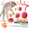 PETZY Interactive Dog & Cat Toys – Automatic Electric Moving