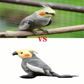 Tiny Heart Cockatiel Plush Toy, 7 Inch Super Soft Realistic Realistic Parrot Plush Stuffed Animal Cute Kids Birthday Ornament Collection Use for All Ages and Occasions