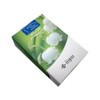 Hanakaori Mini Lily of the Lily