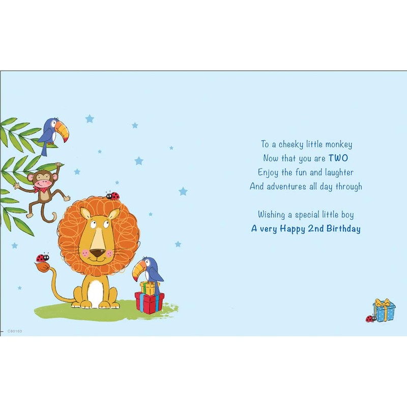 Milestone Age Age 2 Medium Birthday Card - 8" x