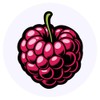 24 x 40mm Round 'Ripe Raspberry' Stickers (SK00067452)