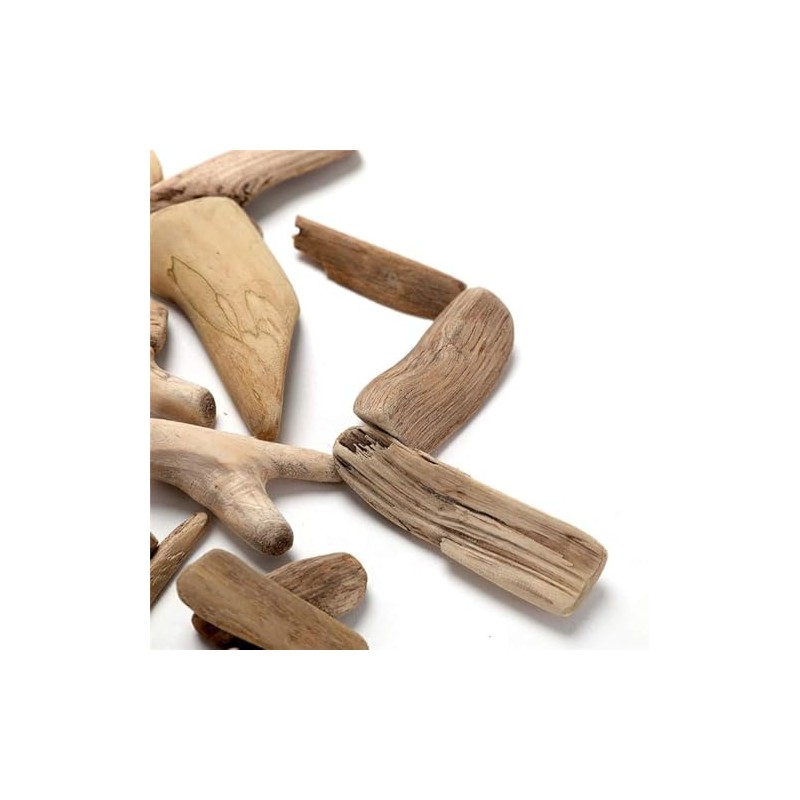 20 Pcs Natural Driftwood Pieces Branch Slices Craft Sticks Beach
