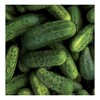 Park Seed National Pickling Cucumber Seeds, A Favorite Heirloom, Pack