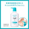 キュレル ボディウォッシュ ポンプ 420ml(赤ちゃんにも使えます)