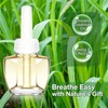 Citronella Plug In Air Freshener Refills, for Bedroom, Bathroom, 12