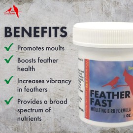Morning Bird Feather Fast, Dietary Supplement for Moulting Birds, Mix with Bird Food, 3 oz