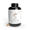 Pilze Wohlrab - Coprinus Extract Capsules Organic, Pure Schopftintling Vital