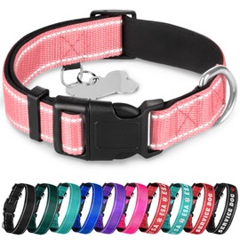 TECEUM Reflective Dog Collar – Pink – XXS – Extra Soft Padding – Basic Nylon Pet Collar – Quick Release Buckle – Fits Small, Medium and Large Dogs, Puppies, Cats – ESA & Service Dog Options