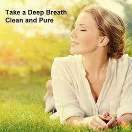 WoodyKnows WoodyKnows Ultra-Breathable Nasal Filters, Seasonal and dust Allergies aid (Round, M, 6 Pack)