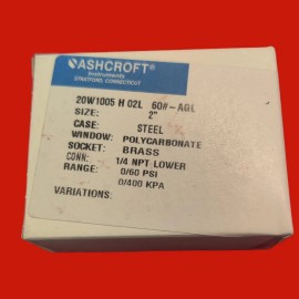 Undisclosed Ashcroft 20W1005H02L60#