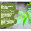 EXVital Organic Moringa Tablets - 3000 mg Moringa Oleifera per
