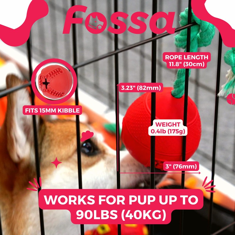 Fossa Interactive Dog Toys, Crate Training Aids for Puppies, Puzzle