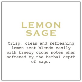 K.Hall Designs Lemon Sage Boxed Diffuser Kit, Citrus Scent with Herbaceous Notes, Reed Diffuser Set for Home, Long Lasting Aroma Diffuser, Refillable, 8 fl oz