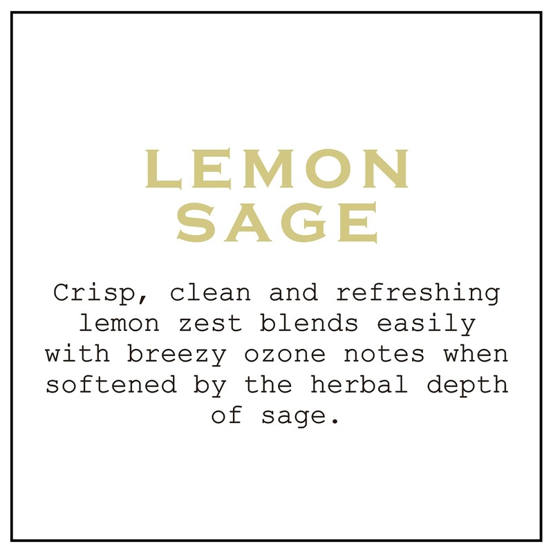 K.Hall Designs Lemon Sage Boxed Diffuser Kit, Citrus Scent with