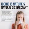 Nasomin Nasal Iodine – Nasal Cleanse– Neutralize Nose - Iodine