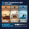 Consciot Ceiling Fan With Lights, 52 Inch Modern Black Ceiling