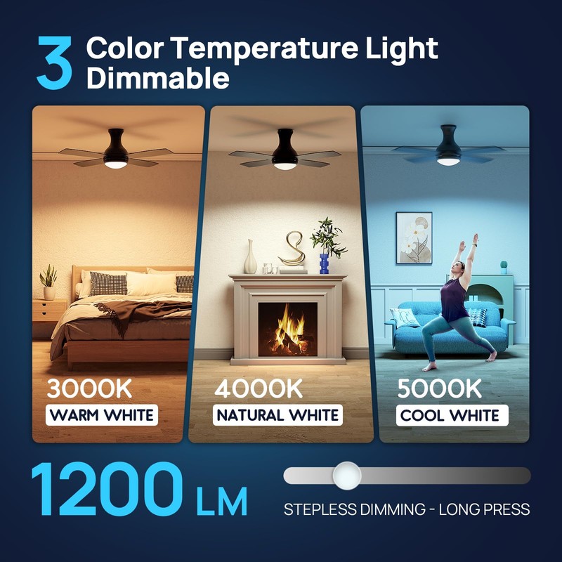 Consciot Ceiling Fan With Lights, 52 Inch Modern Black Ceiling
