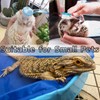 Bearded Dragons Foldable Bathtub with Soft Brush and Towel Set