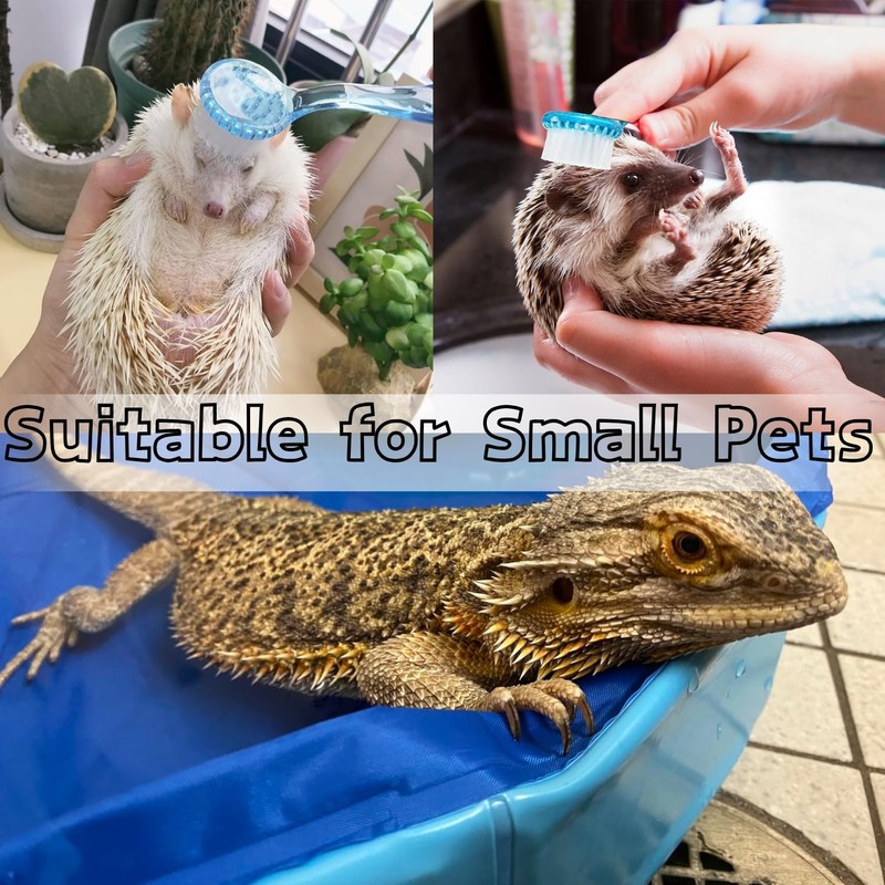 Bearded Dragons Foldable Bathtub with Soft Brush and Towel Set