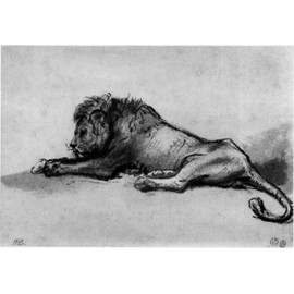 Lion Resting by Rembrandt