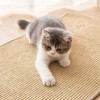 Cat Scratch Mat Prevent Slip Scratch Resistant Furniture Protector Sisal