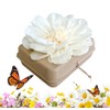 Biodegradable Water Burial Urn Kit - Cruise Approved | Ocean