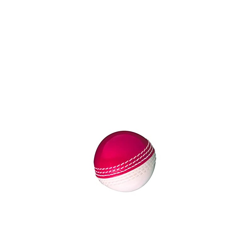Gunn & Moore GM Cricket Training Ball, Skills Ball, Red/White,