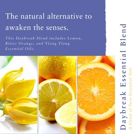 Absolute Aromas Aroma-Roll Energise 3 Pack - with Daybreak, Refresh & Focus Rollerballs