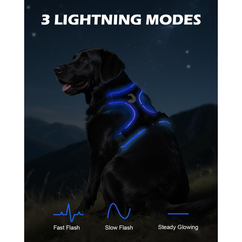 Joytale Light Up Dog Harness, No Pull Dog Harness USB