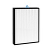 Nispira EverestAir-P EverestAir-RF 2-In-1 True HEPA Activated Carbon Filter Replacement