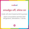 Method Stainless Steel Cleaner, Apple Orchard, 14 OZ (Pack of