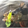 Westin CreCraw Creaturebait 8.5 cm 7 g – 5 Rubber