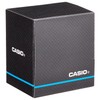 Casio Collection Men's Watch MW-240-4BVEF