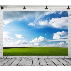 Loccor Fabric 9x6ft Blue Sky Backdrop Meadow Green Grass Blue Sky Clouds Photography Background Outdoor Nature Scenery Easter Decoration Kid Baby Adult Boy Girl Artistic Portrait Photo Studio Props