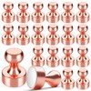 WUDIME 20Pcs Rose Gold Refrigerator Magnets, Strong Magnets for Whiteboard,