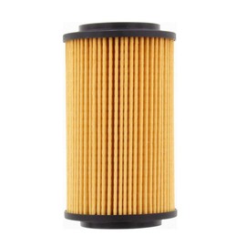 Ryco Oil Filter (R2606P)