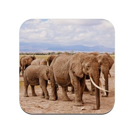Cork Coaster - Elephant Horde in the Savannah Wildlife Animals - 1 Piece (95 x 95mm)