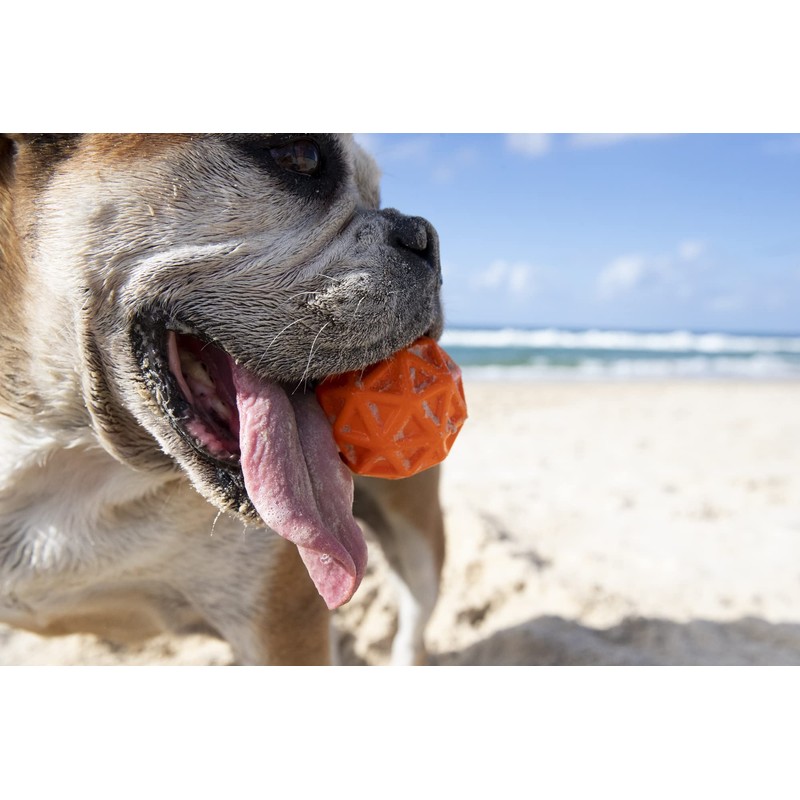 Waboba Tailwind Bouncing Ball