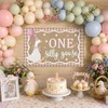 OPUHOHR Goose Pink Banner for One Silly Goose Birthday Decor