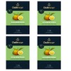 4 x Dallmayr Sun Greeting Green Tea 20 Pyramids x