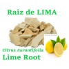majcka4 Raiz de Lima 4 oz Quema grasa hierbas Lime