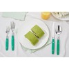ANNOVA Silverware Set 20 Pieces Stainless Steel Color Handle With