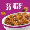 Kellogg's Raisin Bran Cereal 76.5 oz Family Size Kellogg’s Breakfast