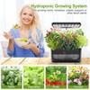 DRYADES Indoor Herb Garden Kit, Hydroponic Growing System with LED
