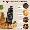 Shampoo Para Canas 500ml Natural Jengibre Tinte Cubre Canas
