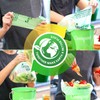 Lucky Family Green Compost Bags for Kitchen Countertop Bin -