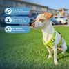 Voyager Step-in Air All Weather Mesh Harness and Reflective Dog