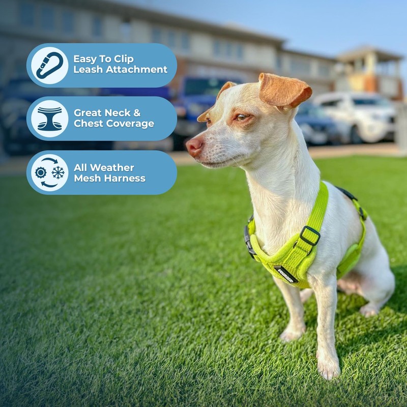 Voyager Step-in Air All Weather Mesh Harness and Reflective Dog