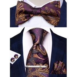 Hi-Tie Men Ties Bowtie Set Silk Necktie Bow Tie Pocket Square Cufflinks Set with Silver Tie Clip or Flower Lapel Pin,Purple Gold