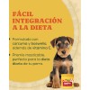 Premios Perro Glucosamina Colágeno Suplemento Natural X2